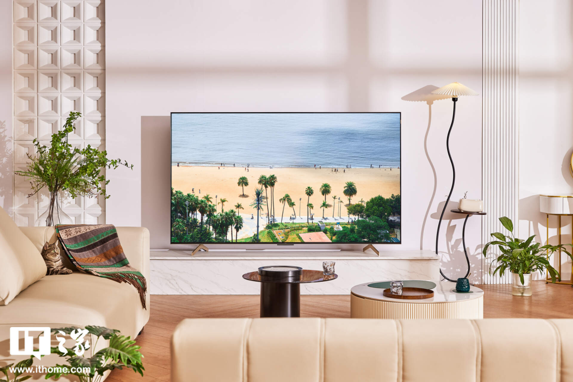 TCL C11G Pro 体验：体验为王，万元 Mini LED 电视绕不开的选择
