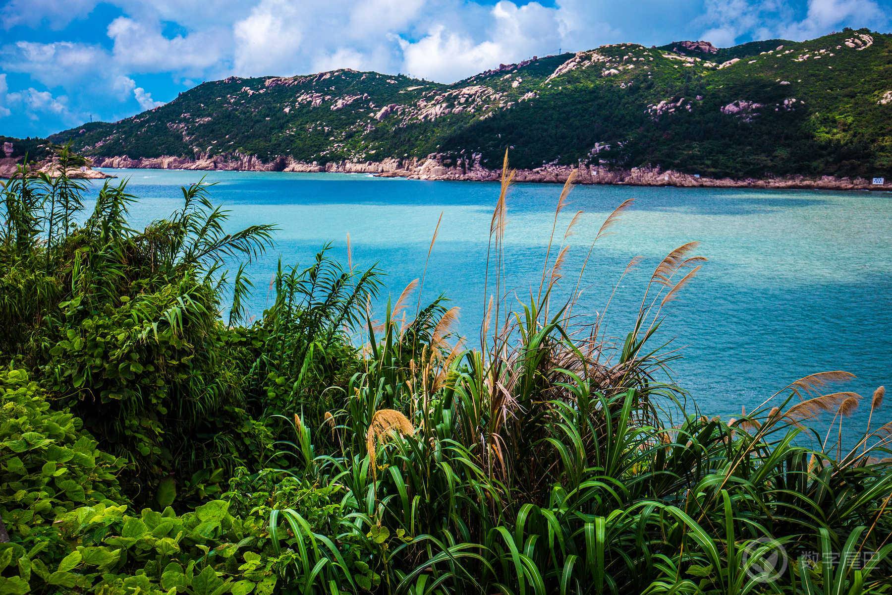 高山流水觅知音，南麂岛上浪弹琴