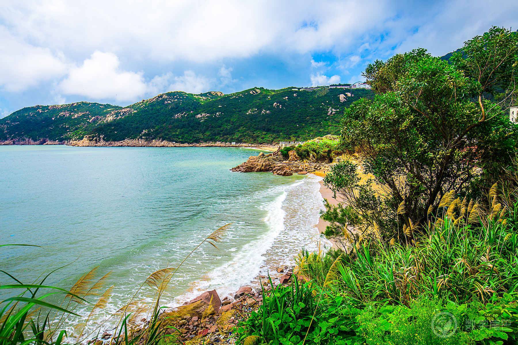 高山流水觅知音，南麂岛上浪弹琴