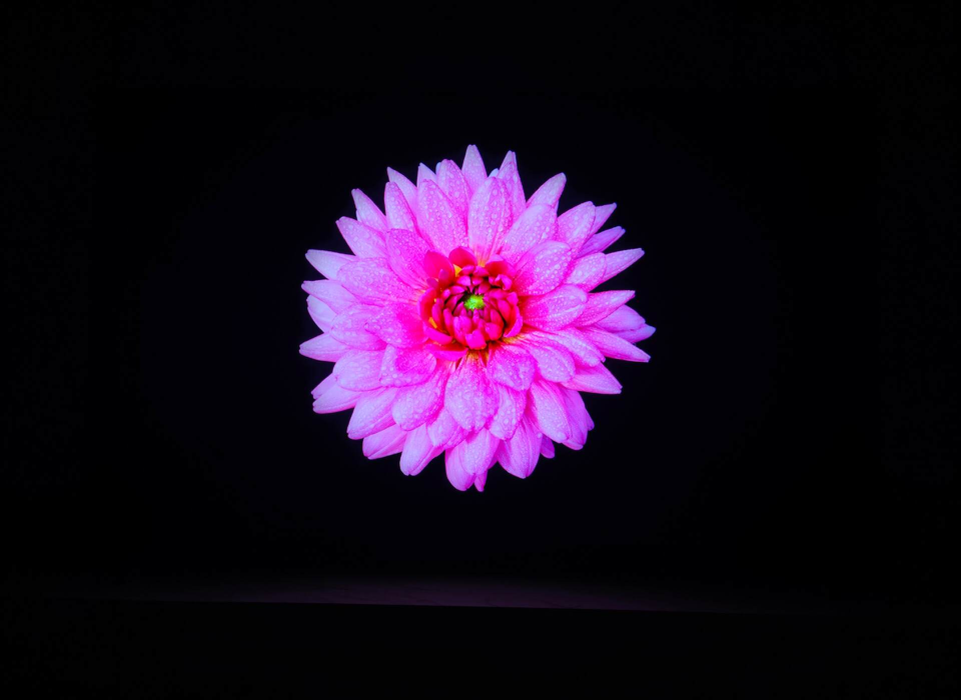 TCL C11G Pro 体验：体验为王，万元 Mini LED 电视绕不开的选择