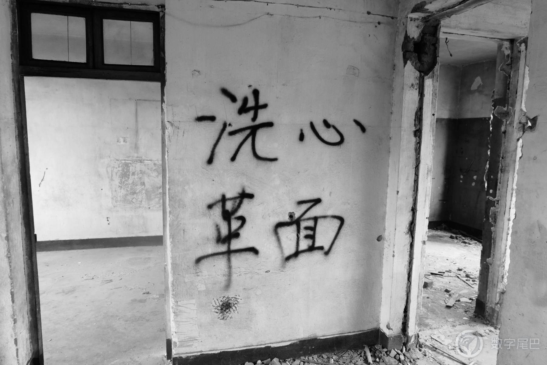 23岁的色彩分享