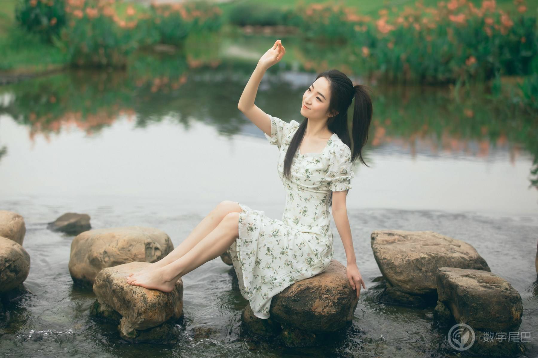 水中花