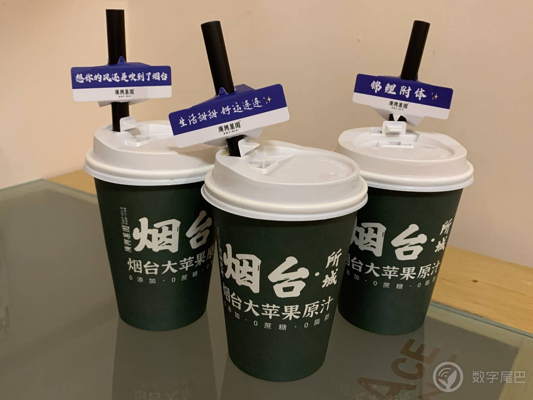 夏天回忆-2023