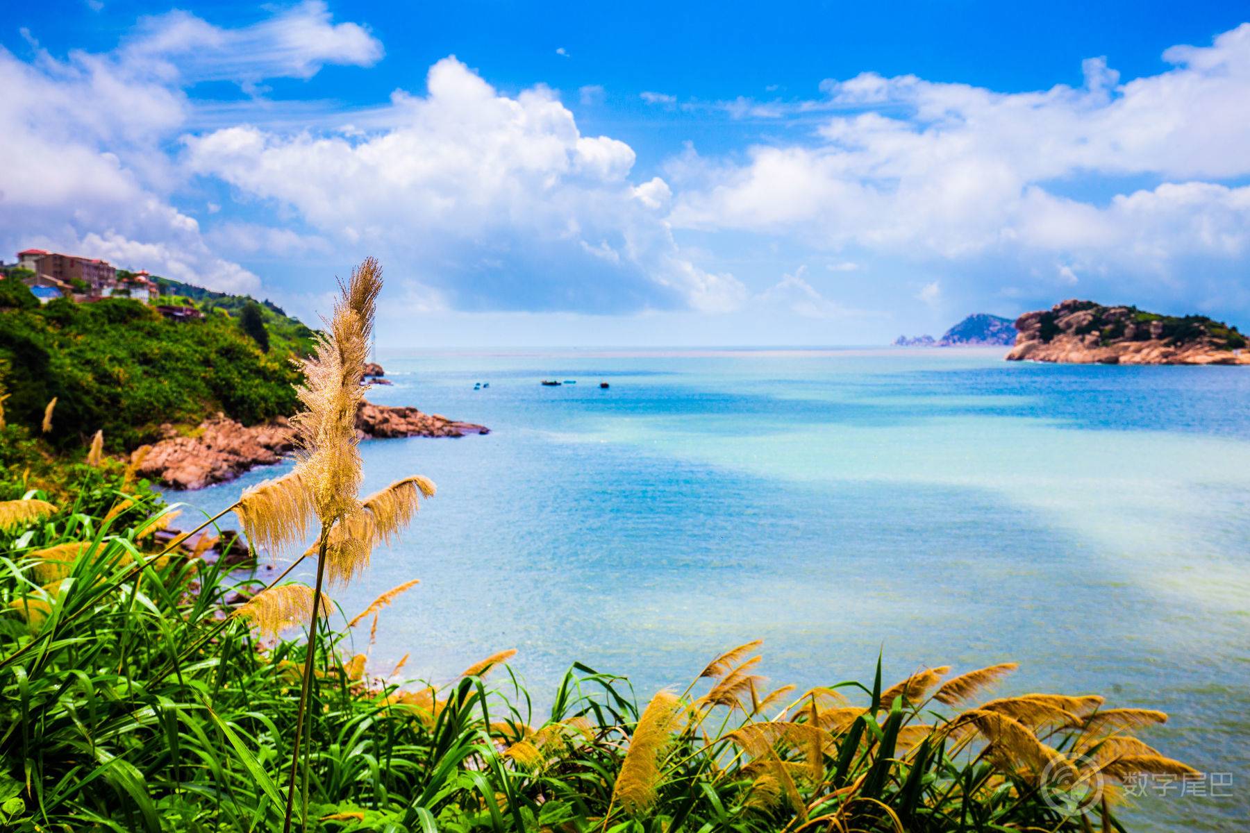 高山流水觅知音，南麂岛上浪弹琴