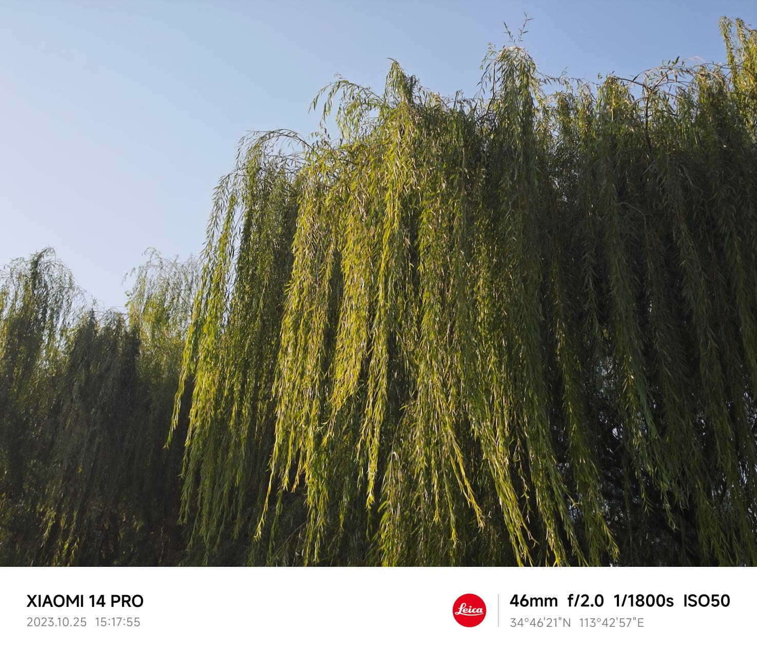 小米14 Pro评测：百尺竿头 更进一步