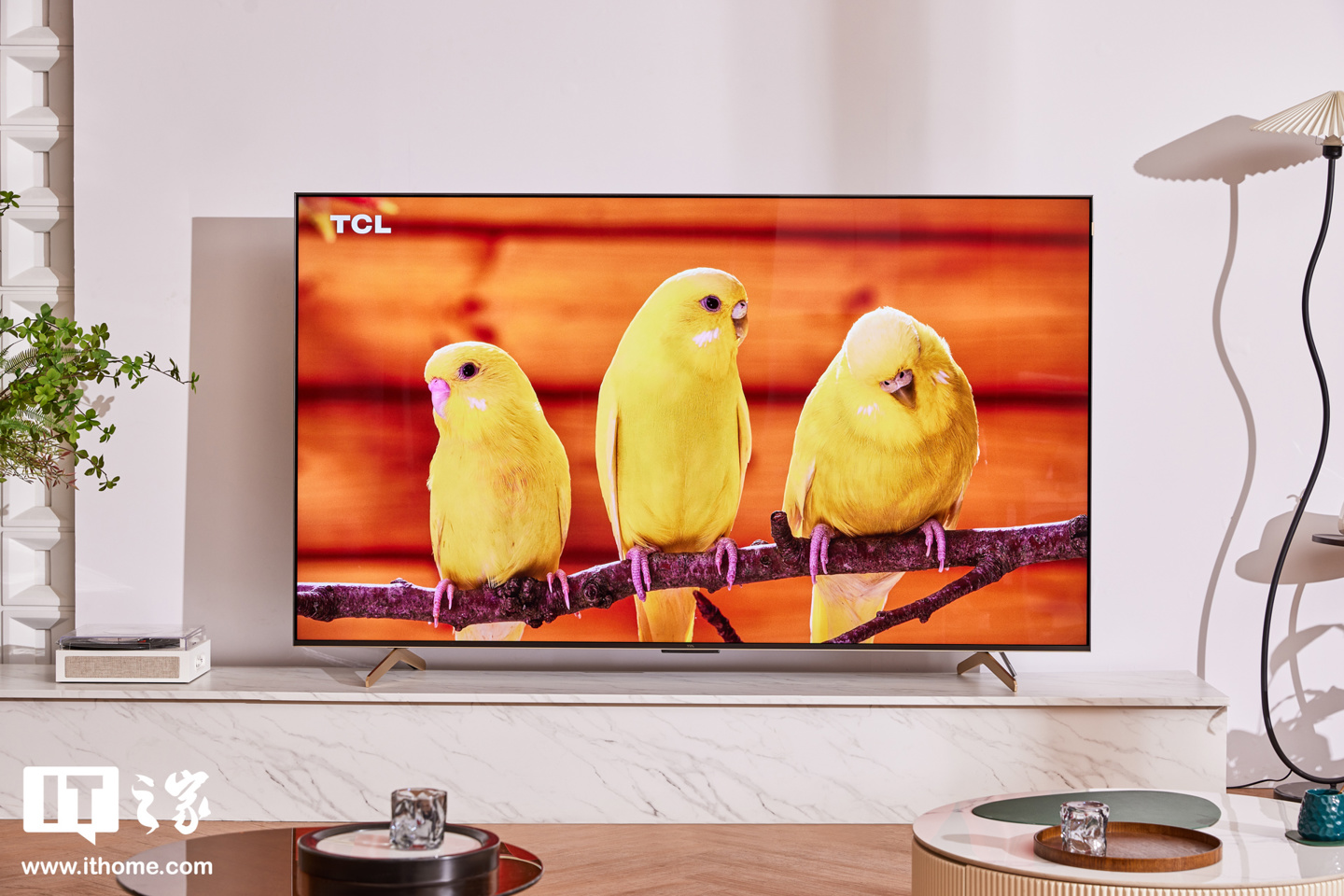 TCL 灵悉 QD-Mini LED 电视 C11G Pro 85 英寸图赏：高端设计语言，高端画质印证