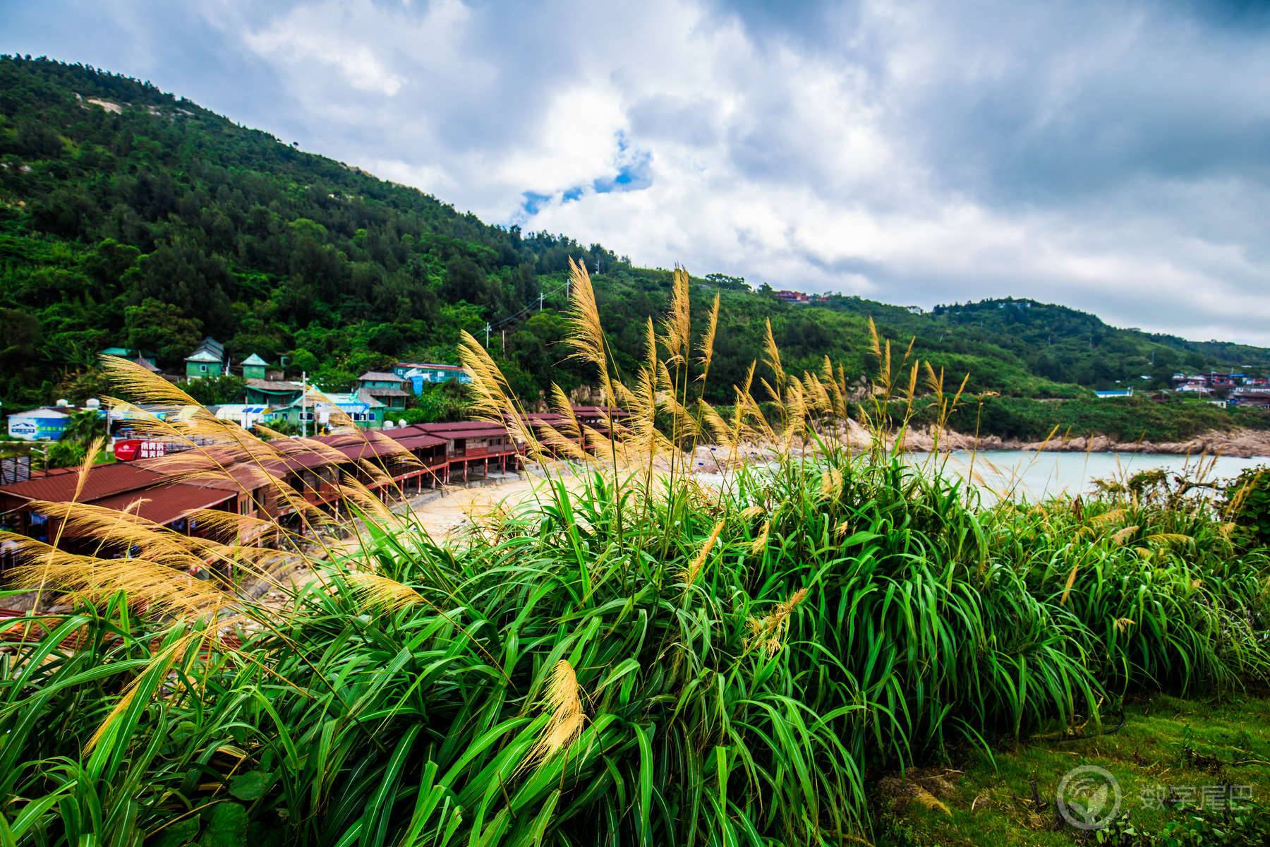 高山流水觅知音，南麂岛上浪弹琴