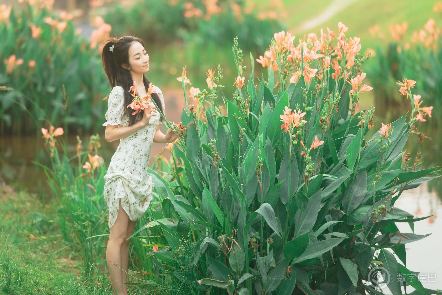 水中花