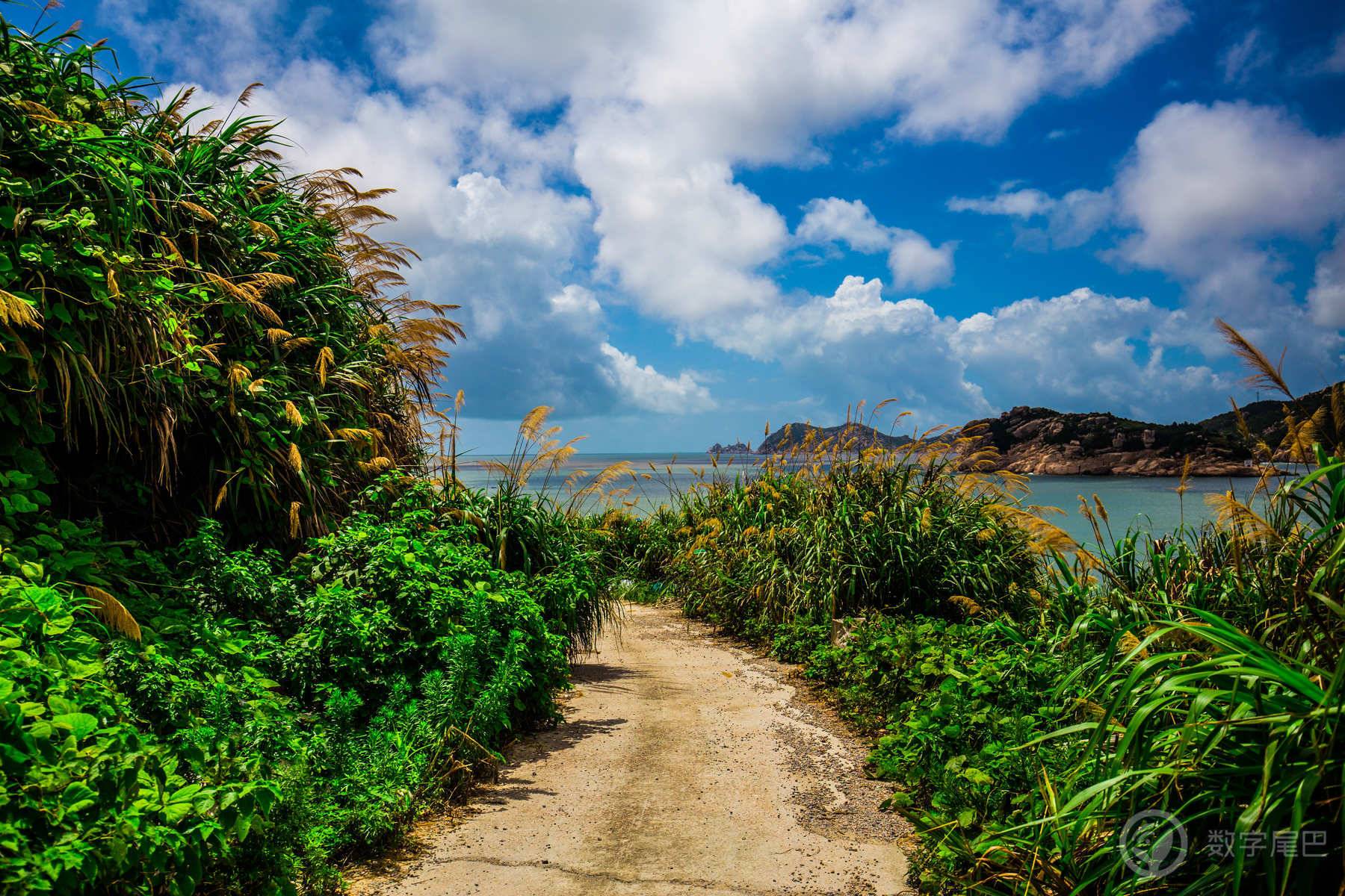 高山流水觅知音，南麂岛上浪弹琴