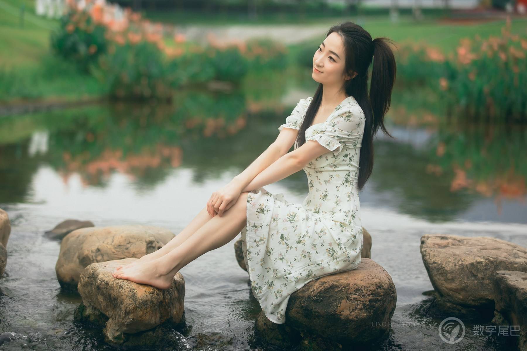 水中花