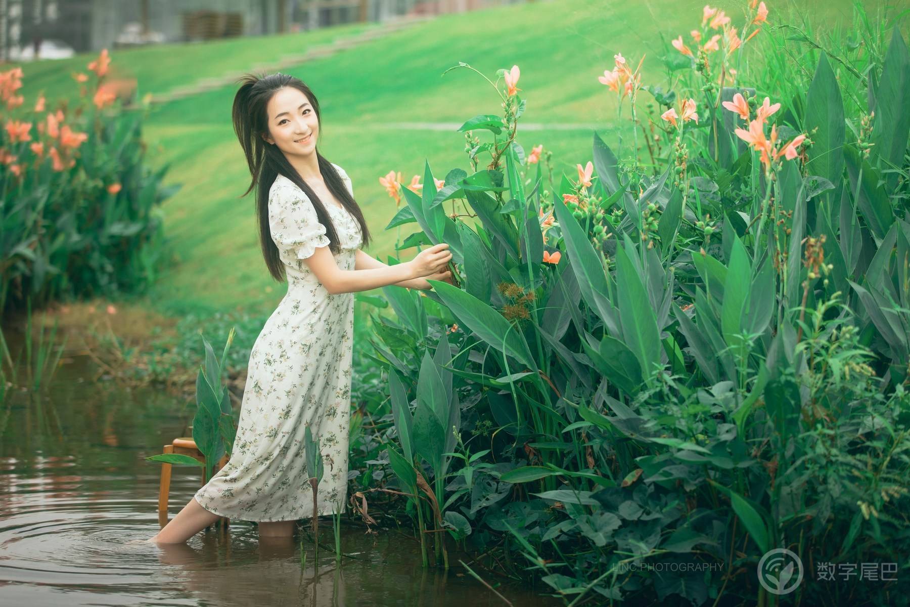水中花