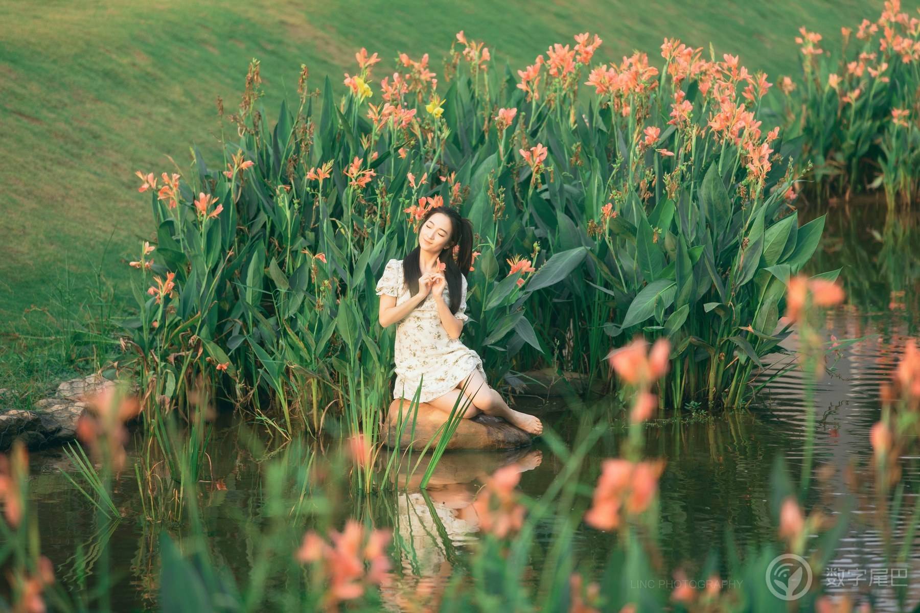 水中花