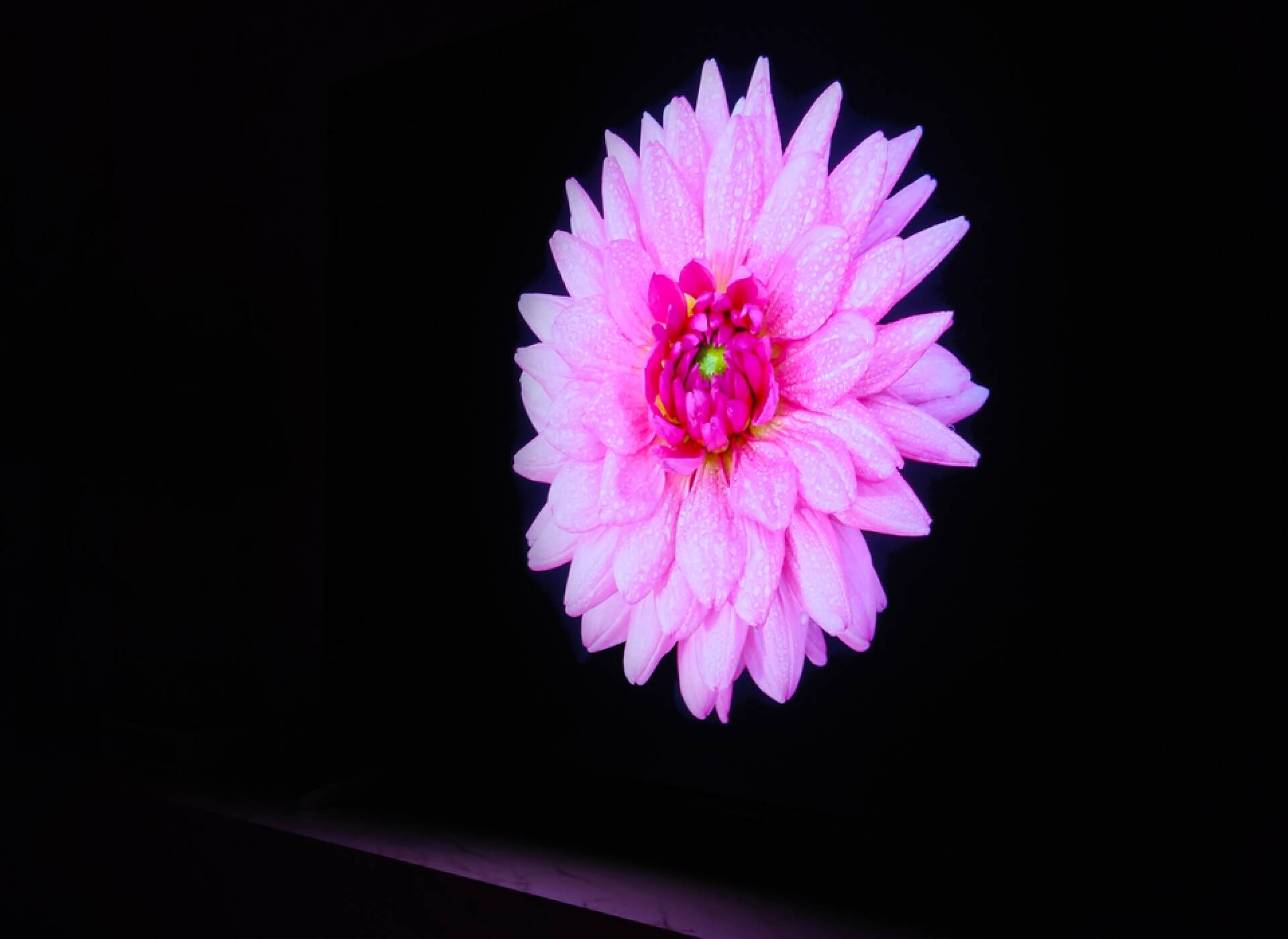 TCL C11G Pro 体验：体验为王，万元 Mini LED 电视绕不开的选择