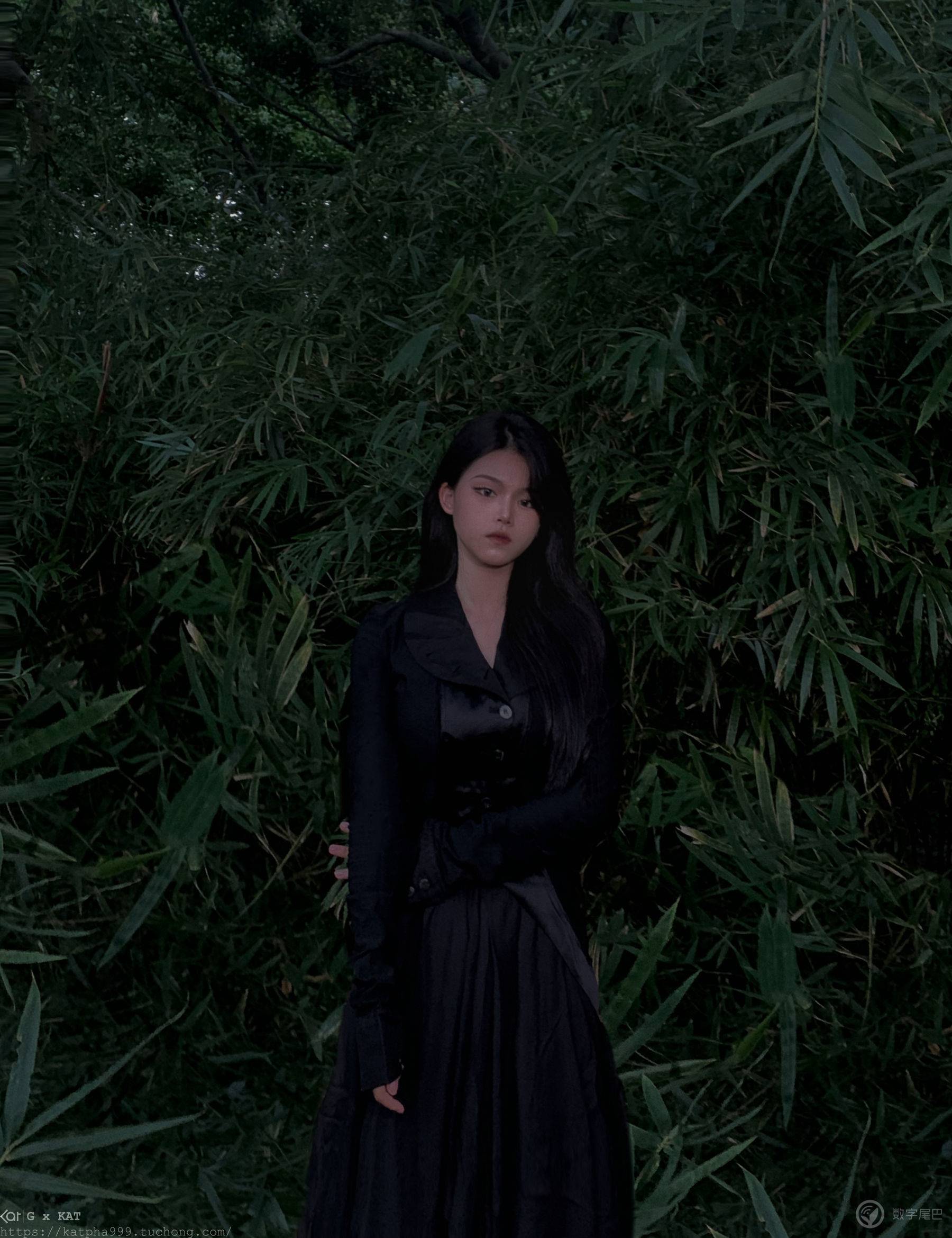 白玫瑰