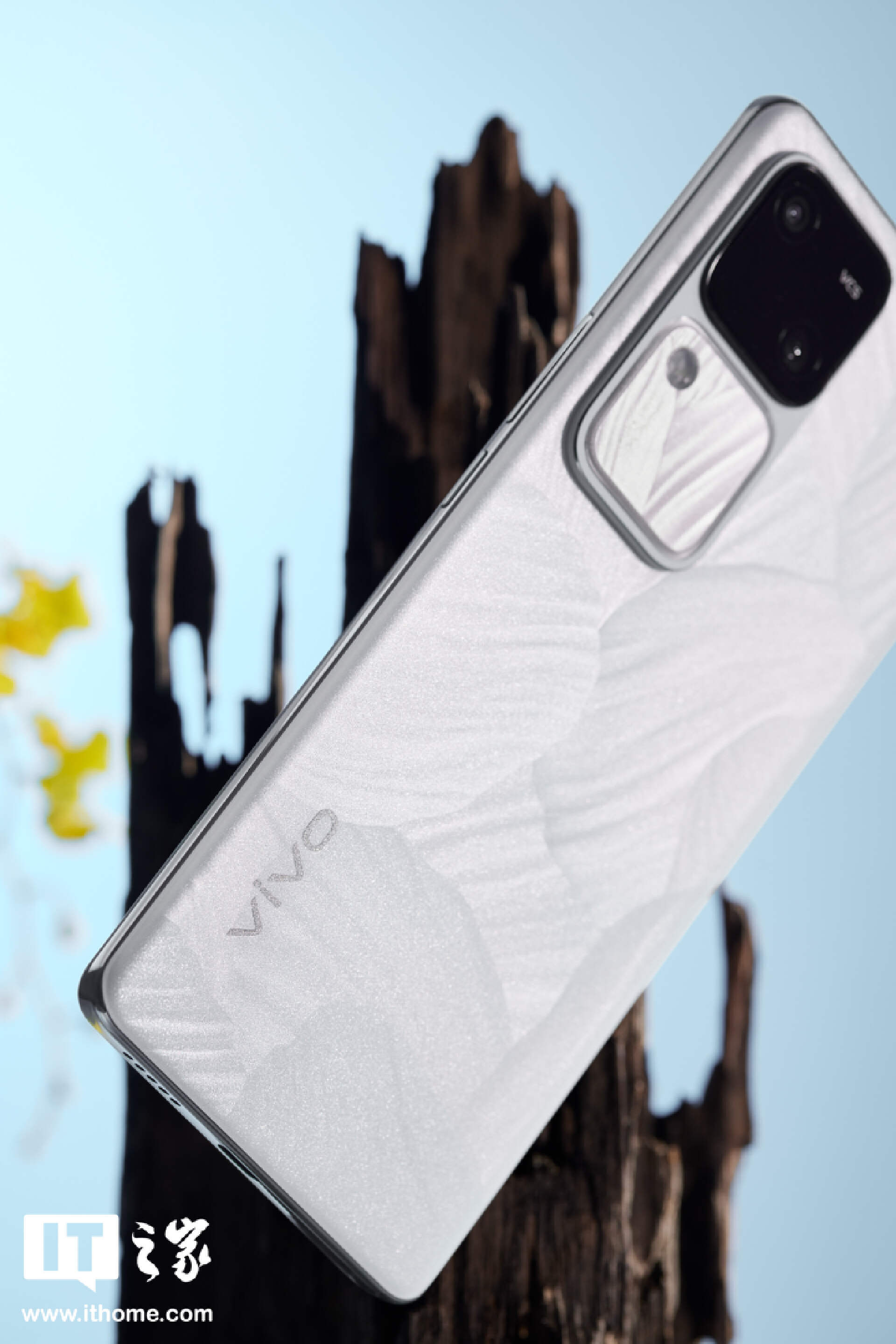 “影棚级人像”还得看蓝厂：vivo S18 图文评测