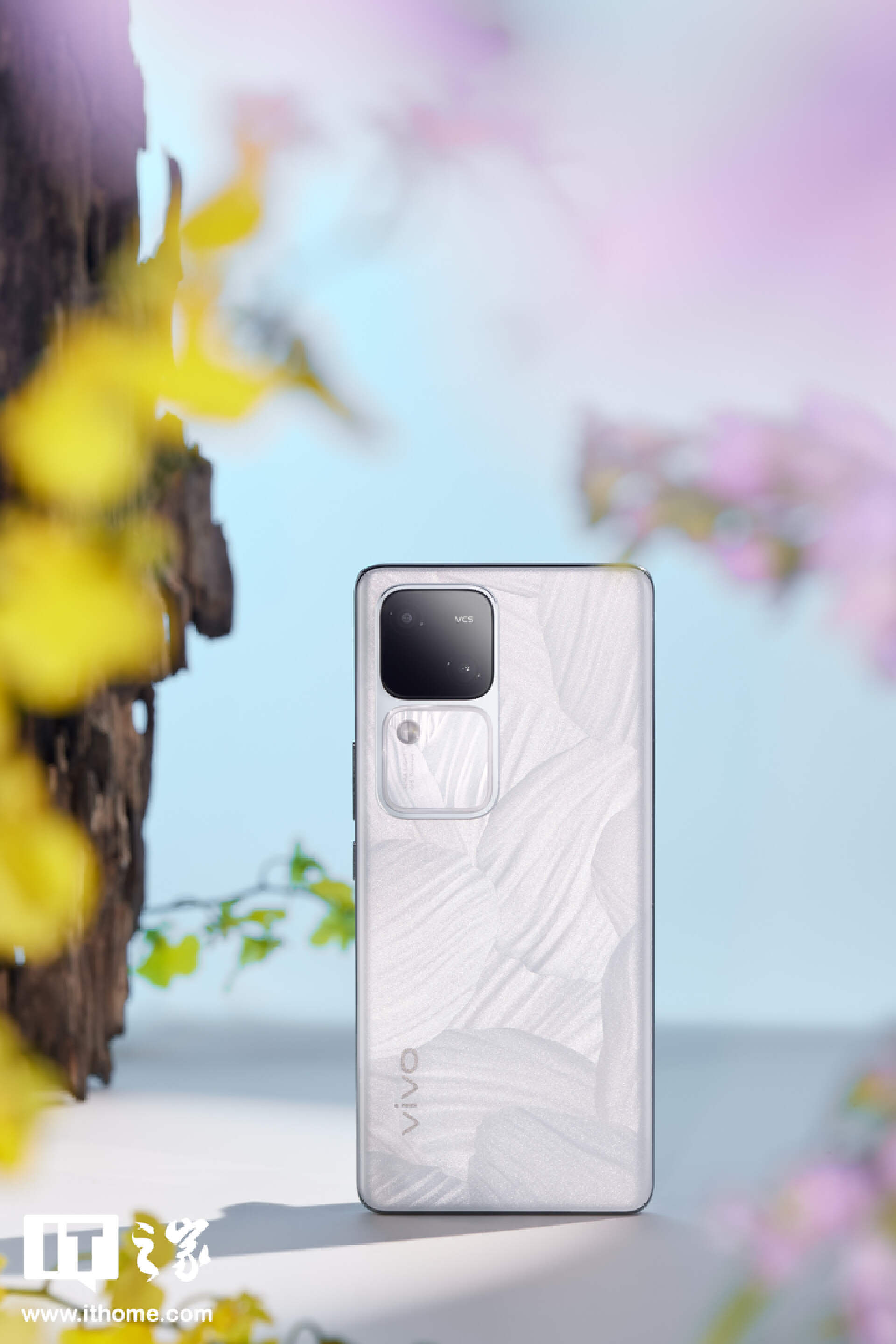 “影棚级人像”还得看蓝厂：vivo S18 图文评测
