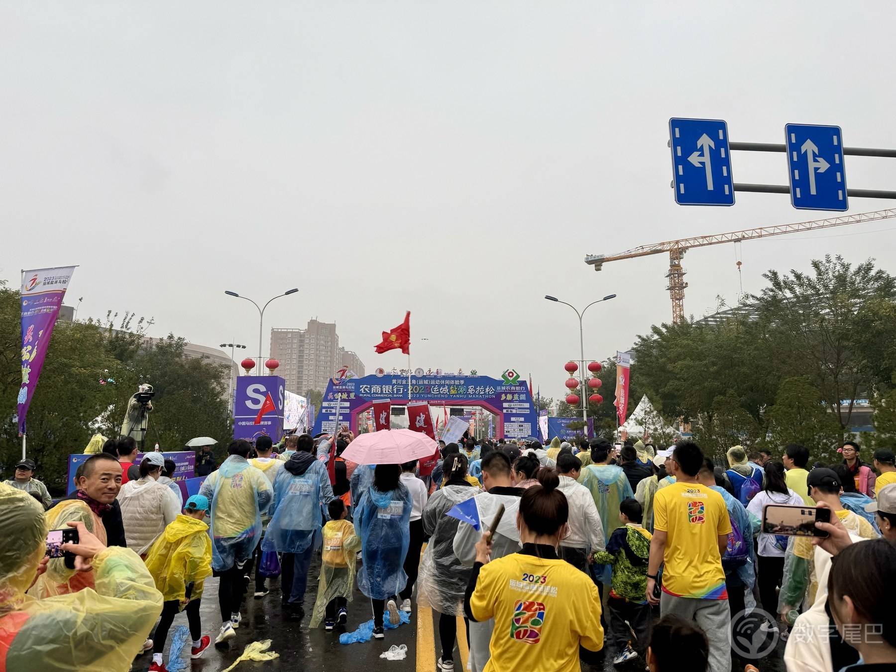 「2023摄影征文」2023年尾巴生活碎片