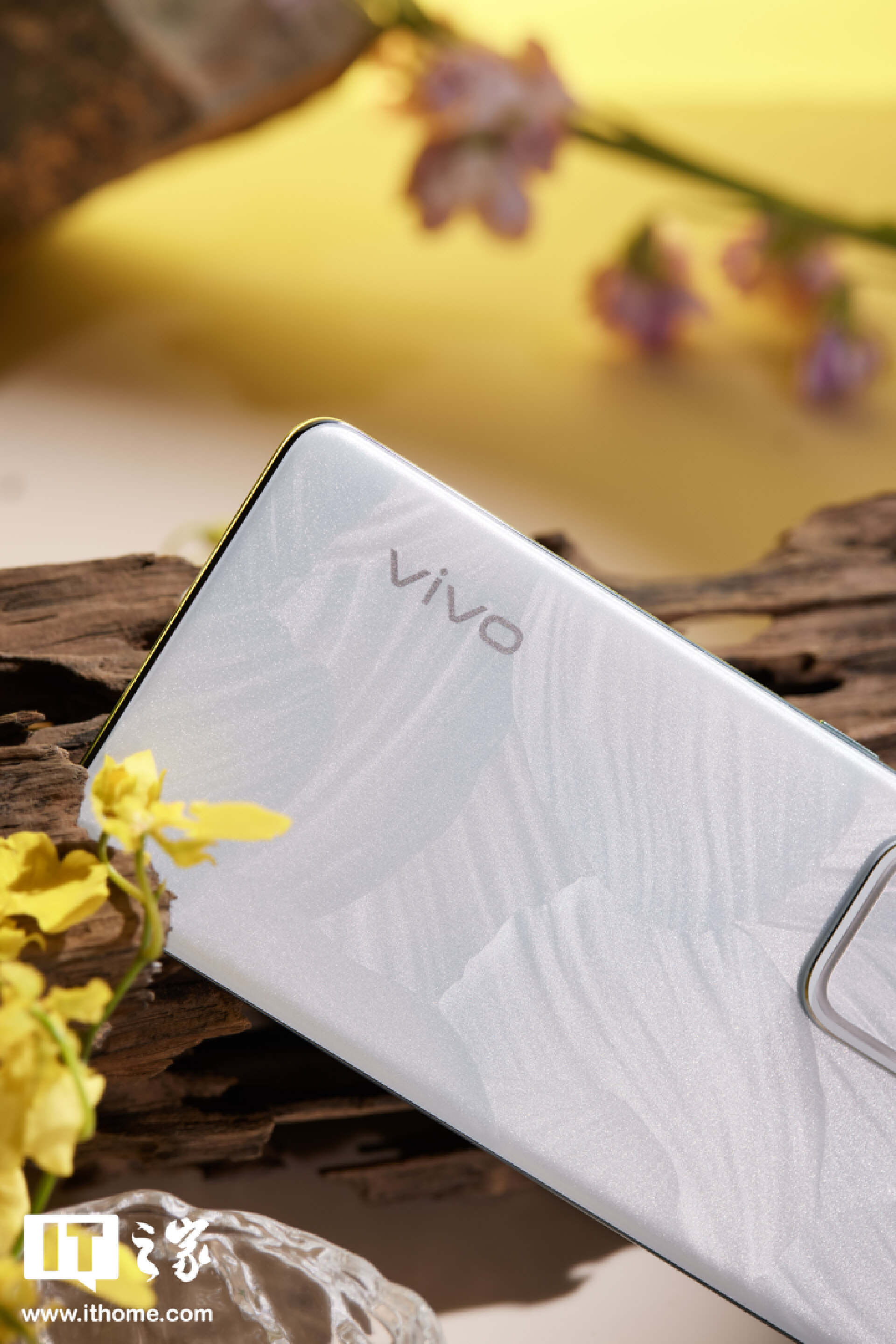“影棚级人像”还得看蓝厂：vivo S18 图文评测