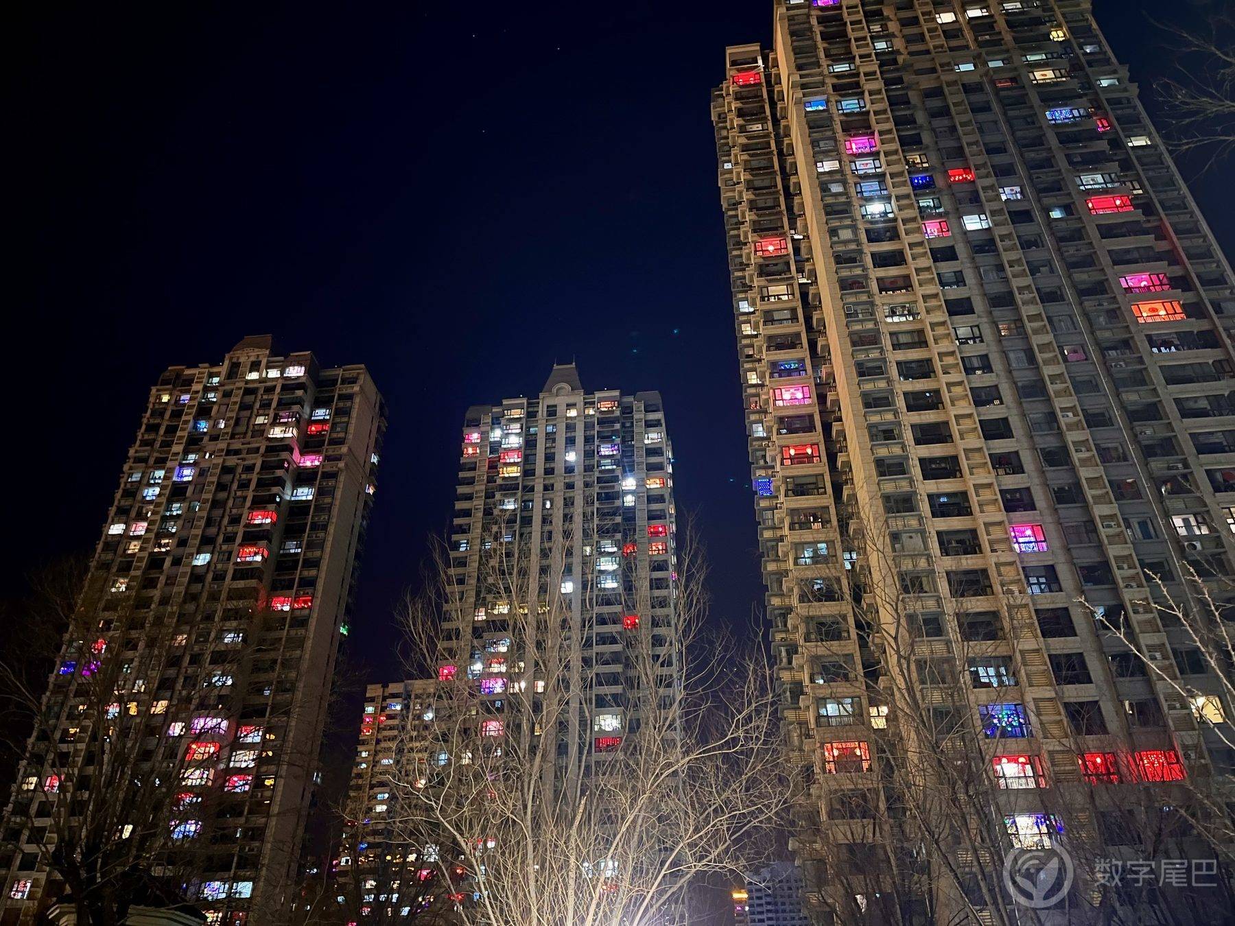 「2023摄影征文」2023年尾巴生活碎片