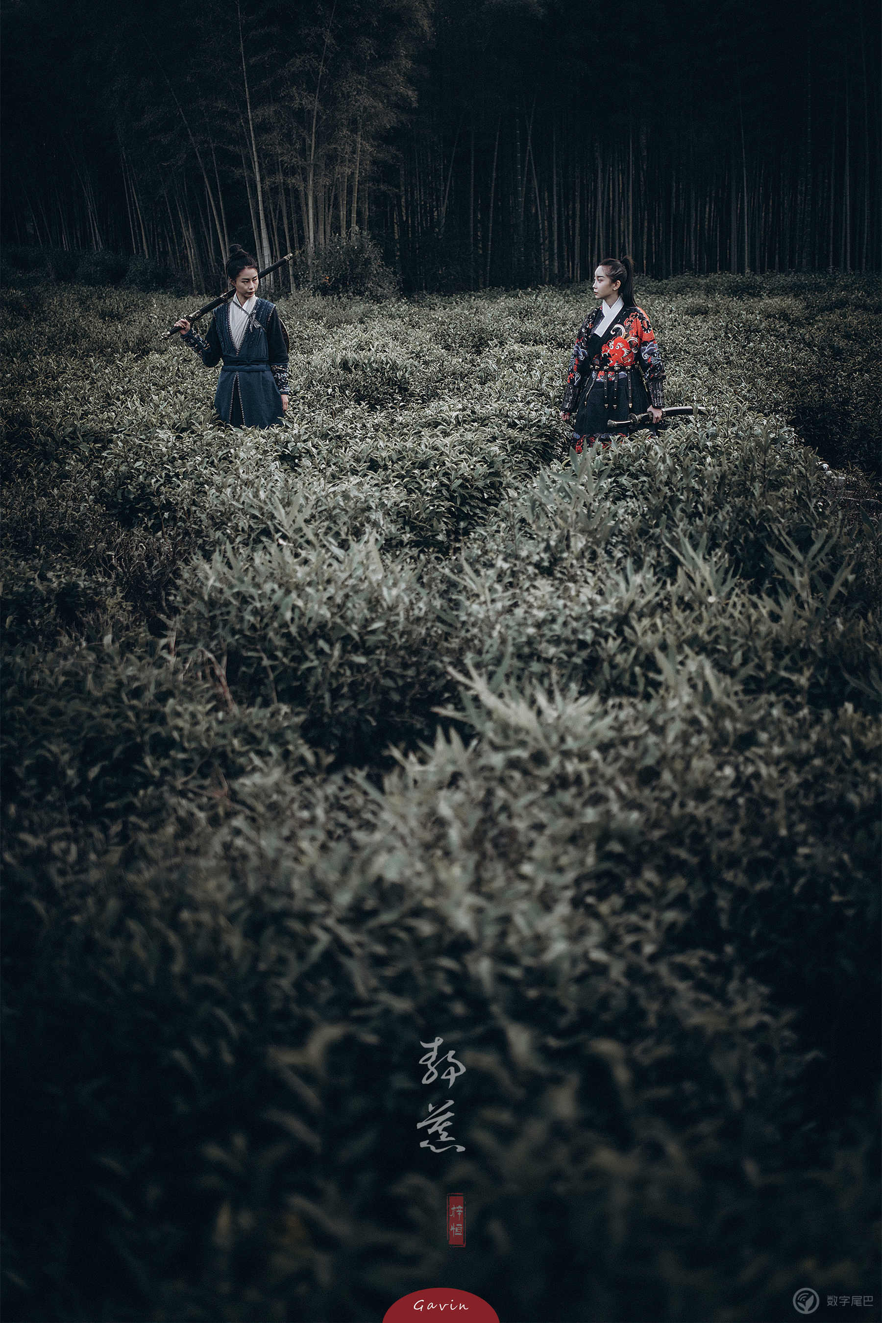 我眼中的武侠江湖-8