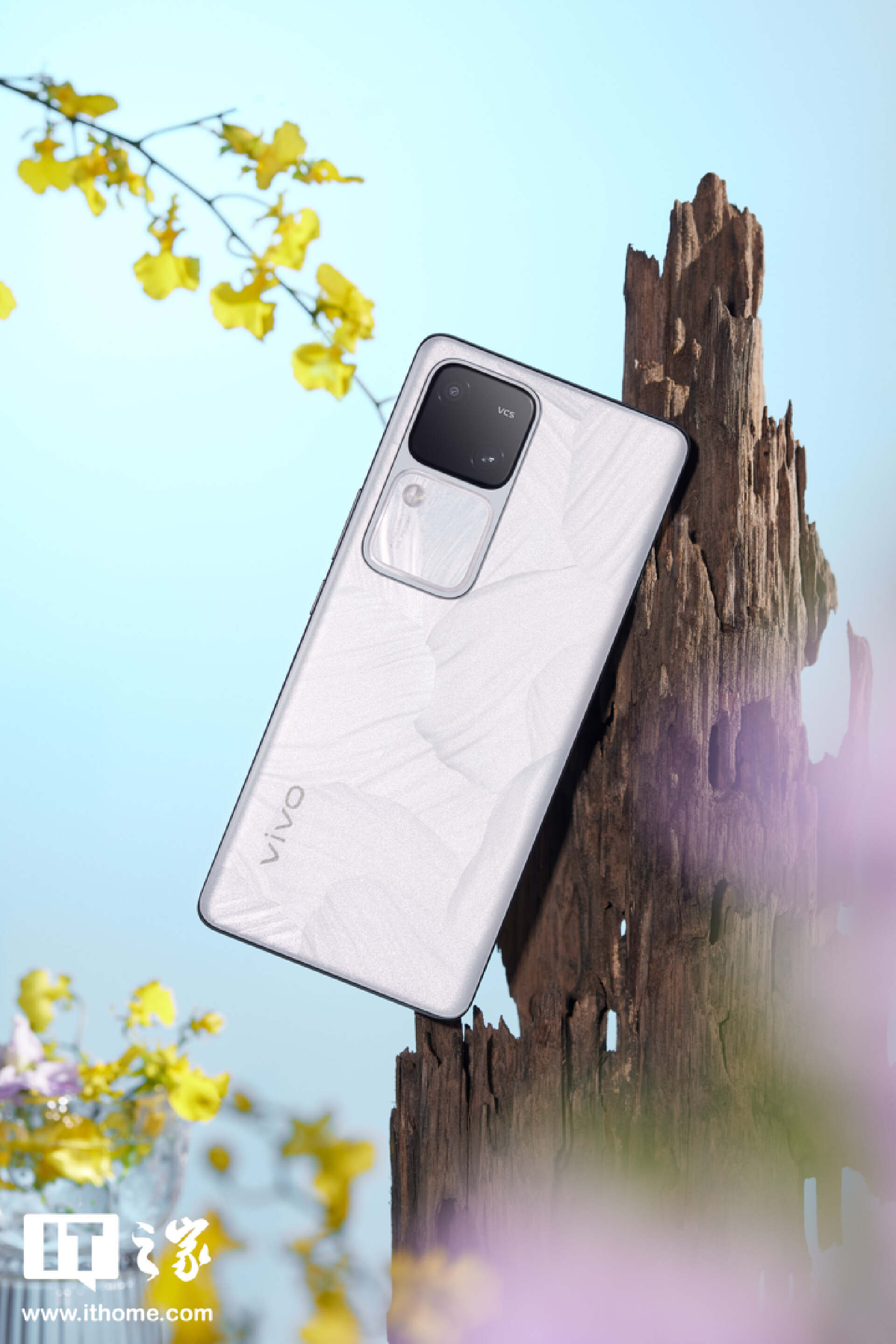 “影棚级人像”还得看蓝厂：vivo S18 图文评测