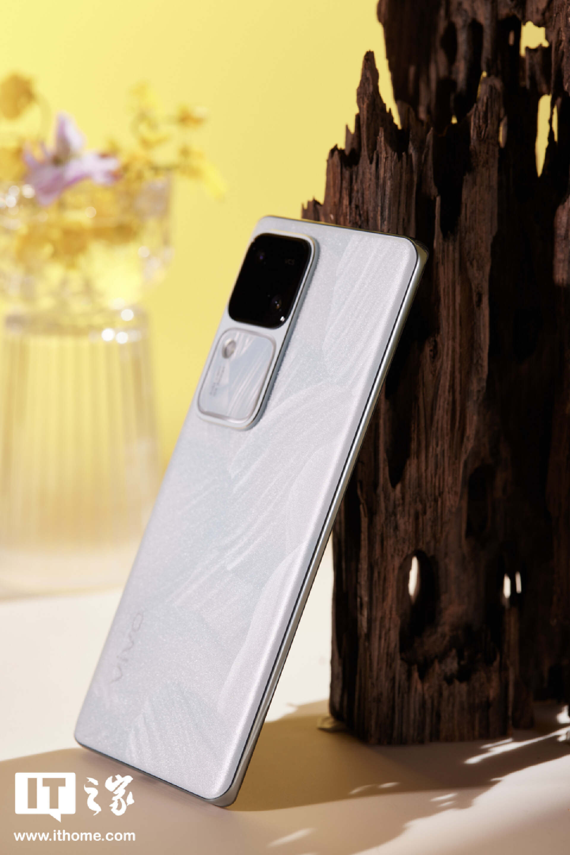 “影棚级人像”还得看蓝厂：vivo S18 图文评测