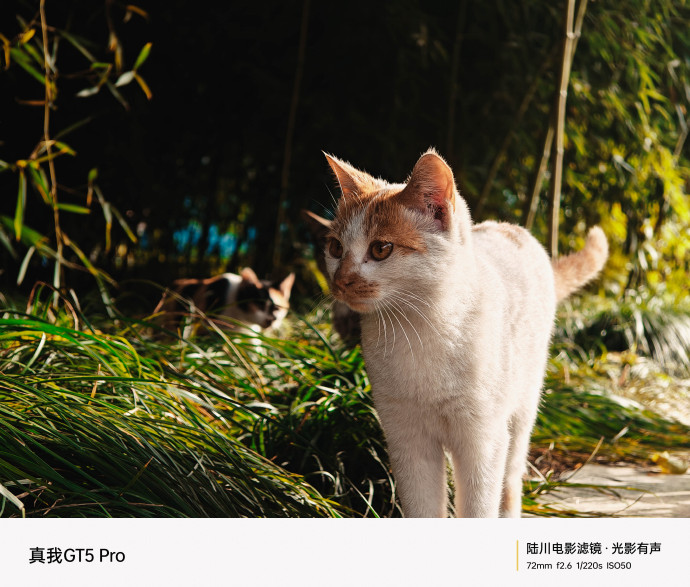 realme 真我 GT5 Pro 手机预热：搭载“陆川电影滤镜”，拍摄样张公布