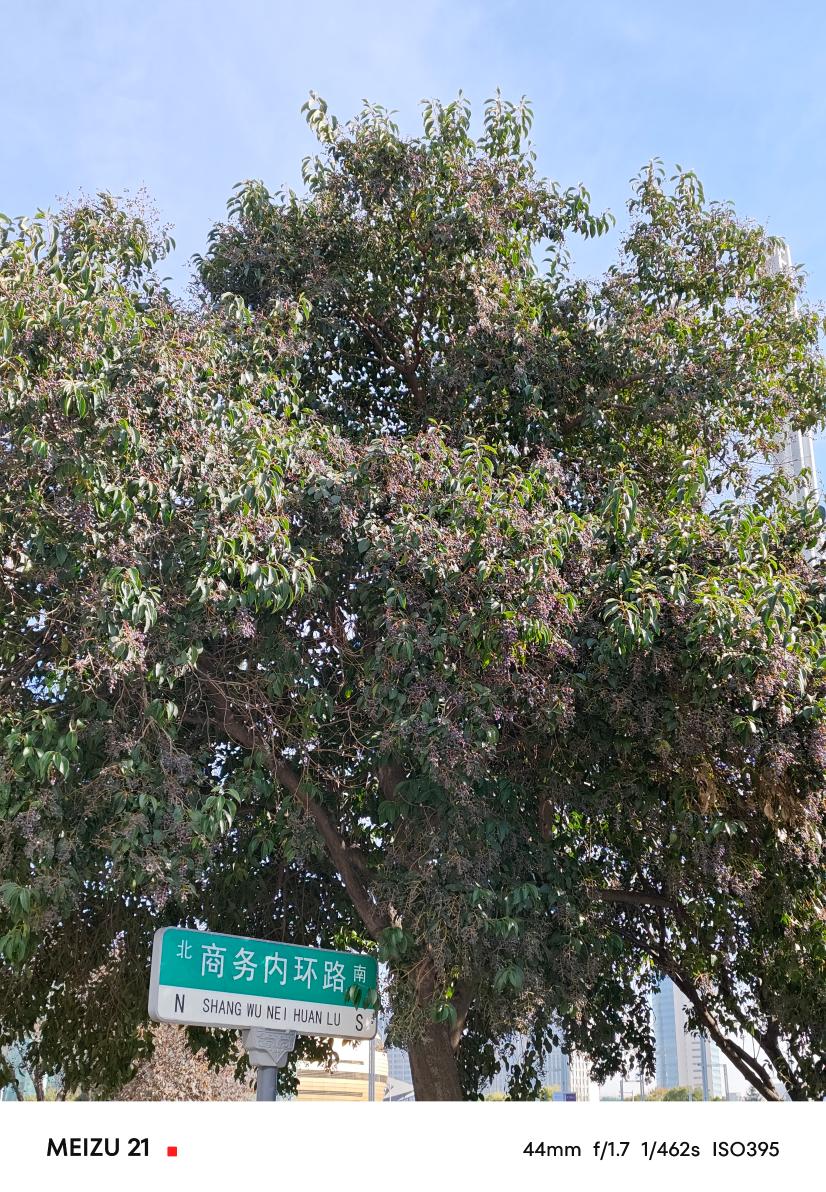魅族21评测：精致、简洁和美