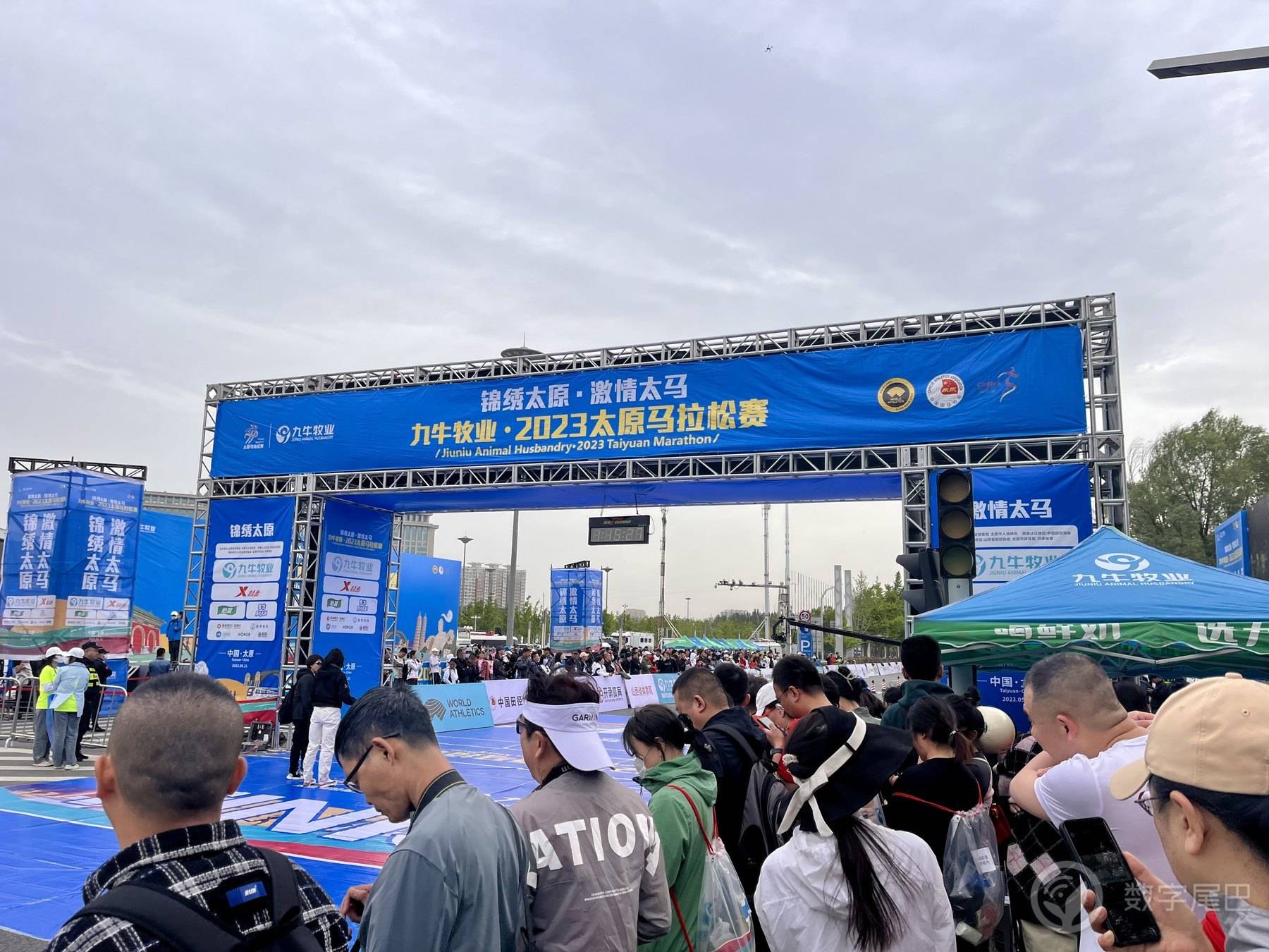 「2023摄影征文」2023年尾巴生活碎片