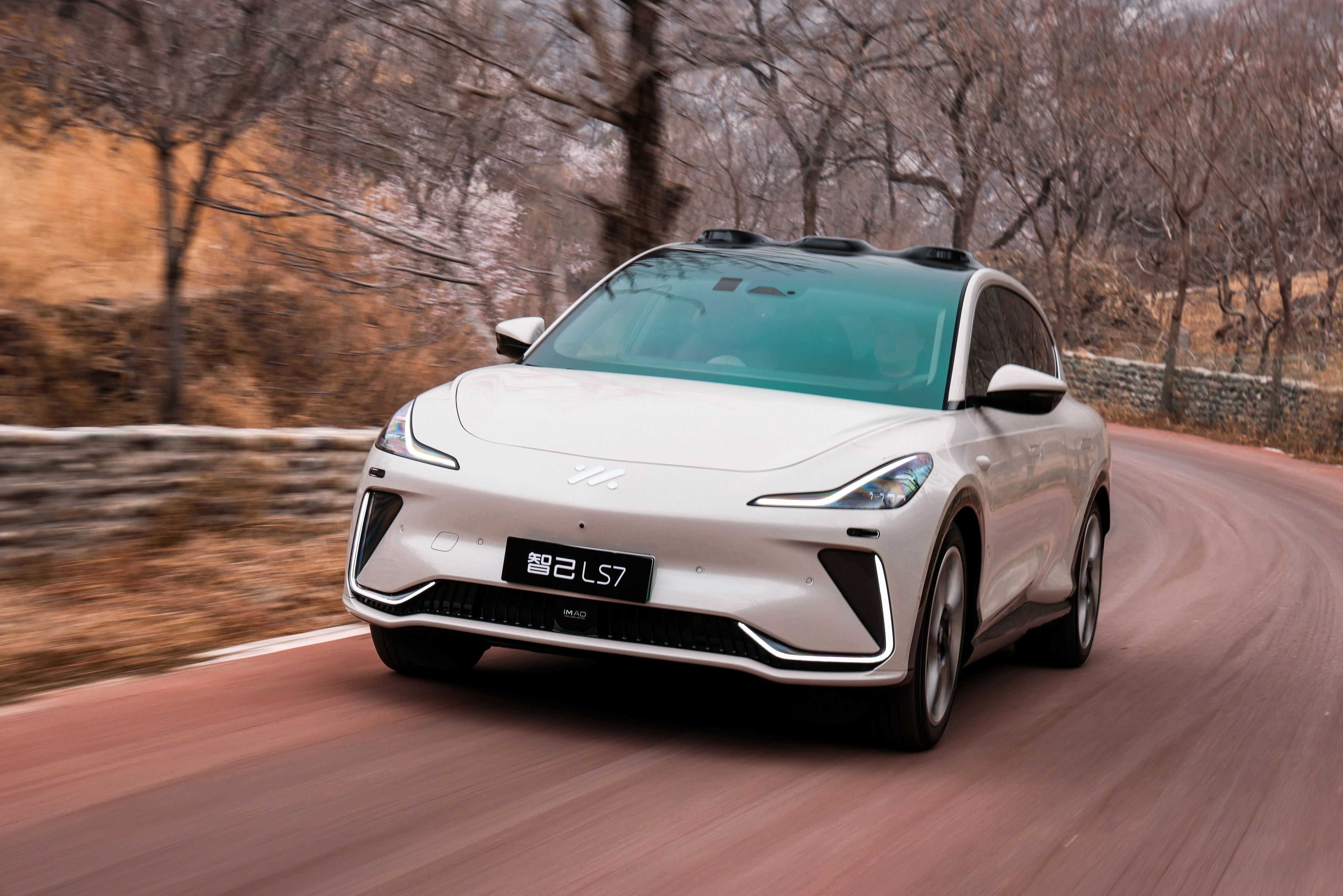 「买到就是赚到」的纯电 SUV，到底什么样？