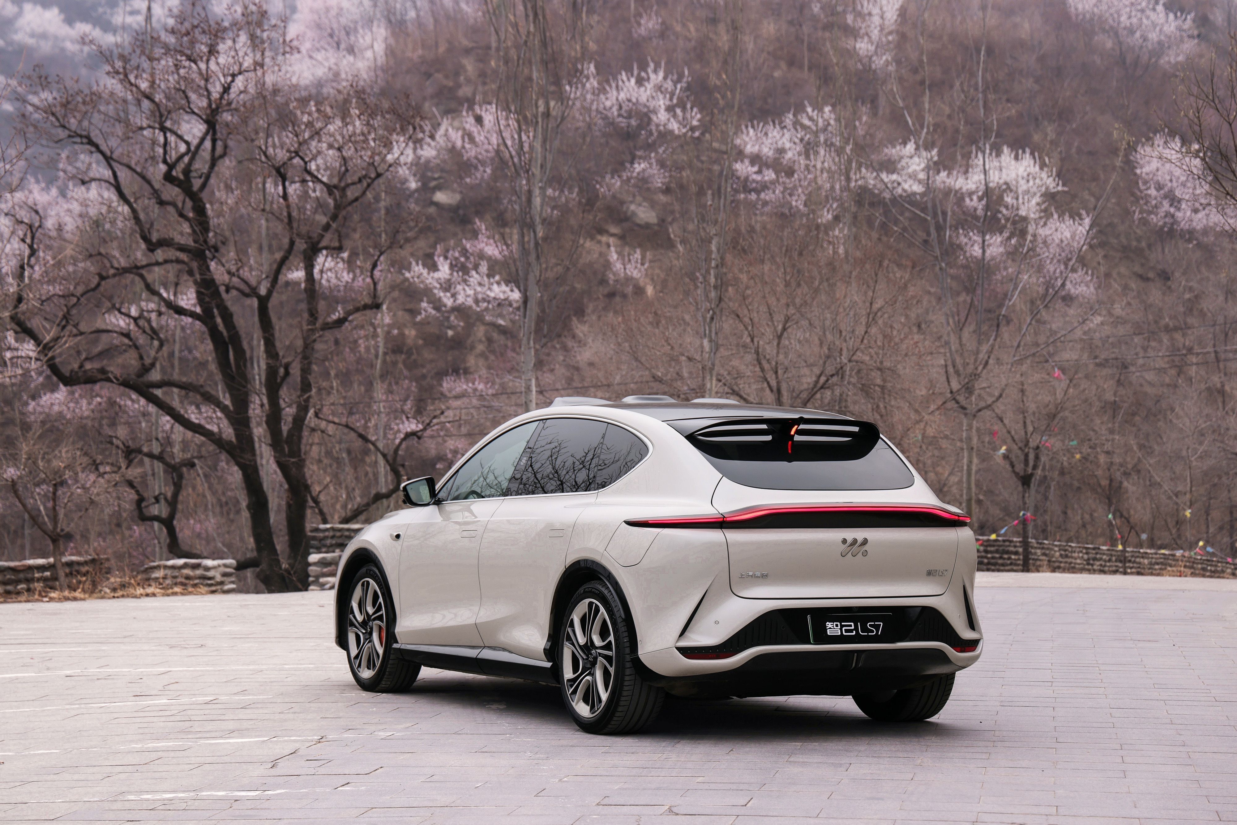「买到就是赚到」的纯电 SUV，到底什么样？