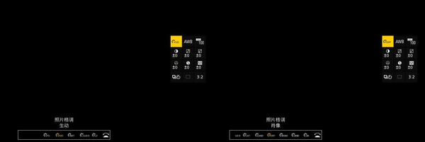 松下与尼康，入门级全画幅微单S9 vs Z5的对决