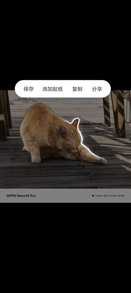 OPPO Reno12系列，全网测评深度剖析 AI 引领潮流