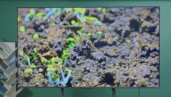 小米电视S 85寸体验，掀起迷你LED电视普及新风暴