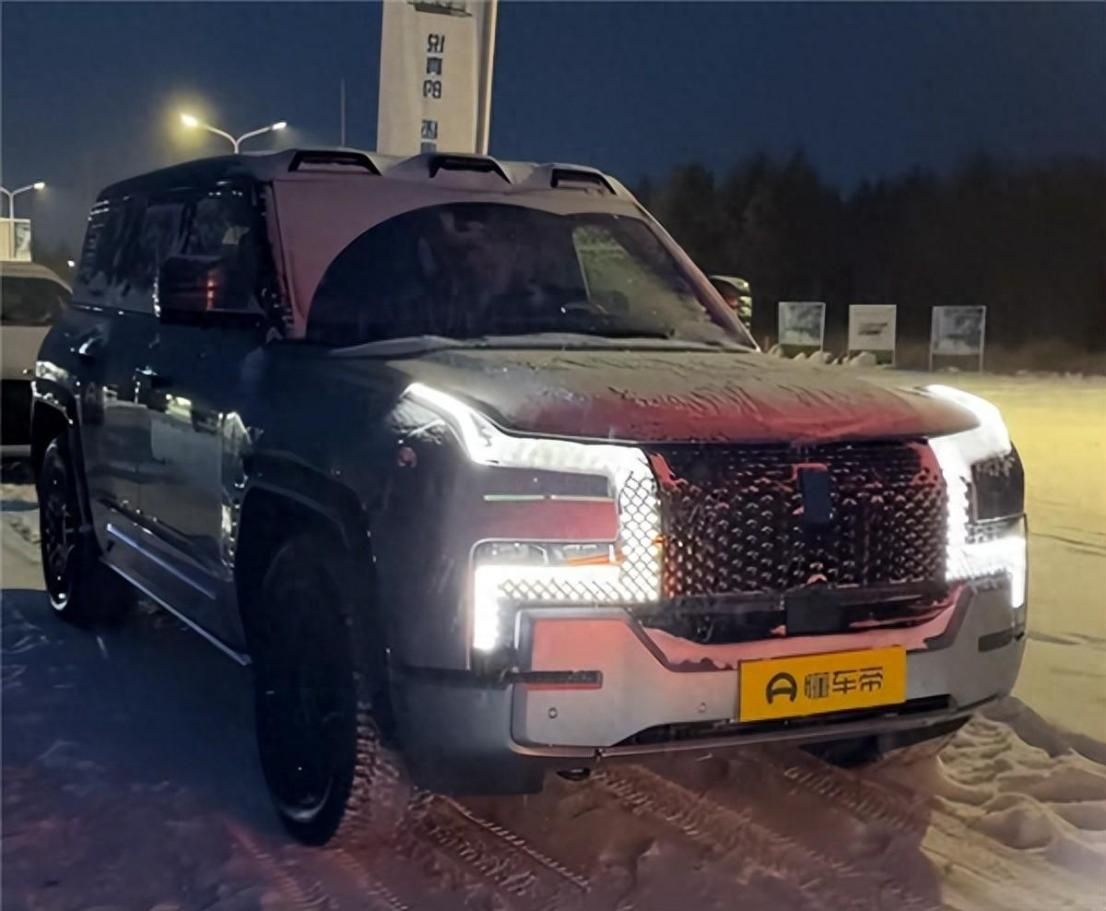 比亚迪在冬季道路车辆安全性测试中未胜出，没有人认为其为最大赢家