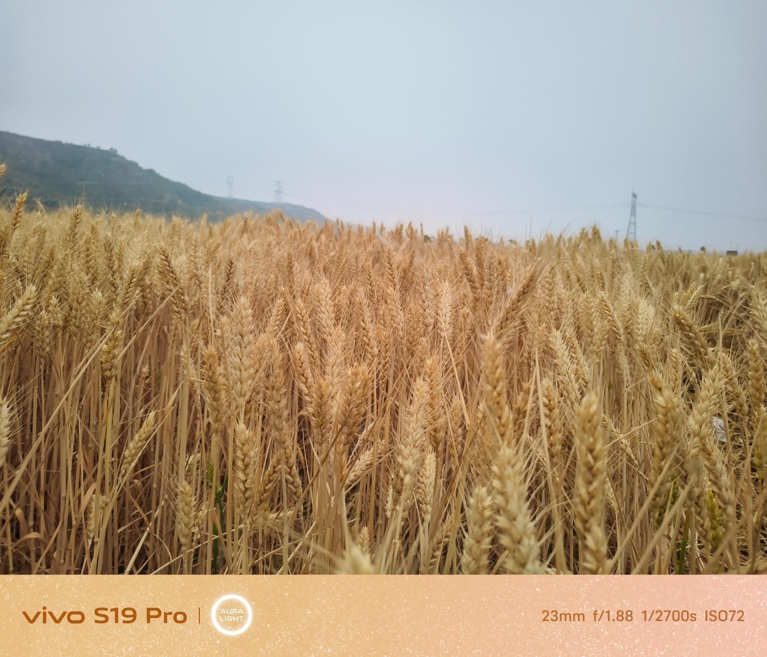 全新S19 Pro，熟悉配方，打造新颖口感