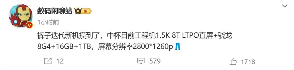 量子点屏幕，IQOO 13规格曝光，骁龙8 Gen4+1.5K工程机直屏设计