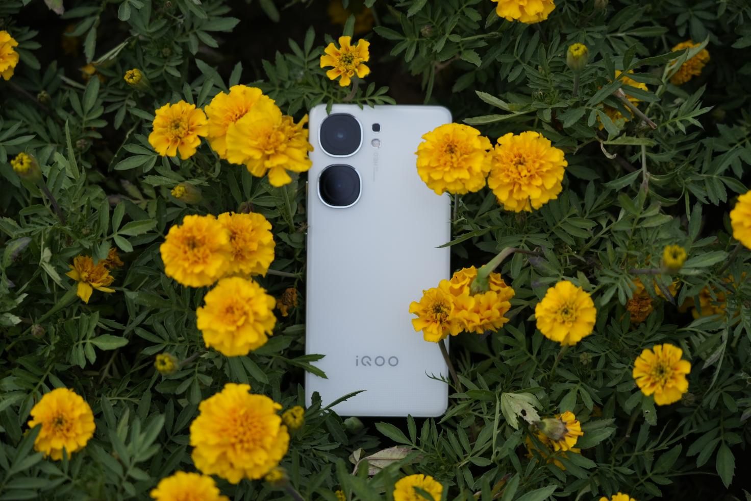 质变量增，IQOO Neo9S Pro评测