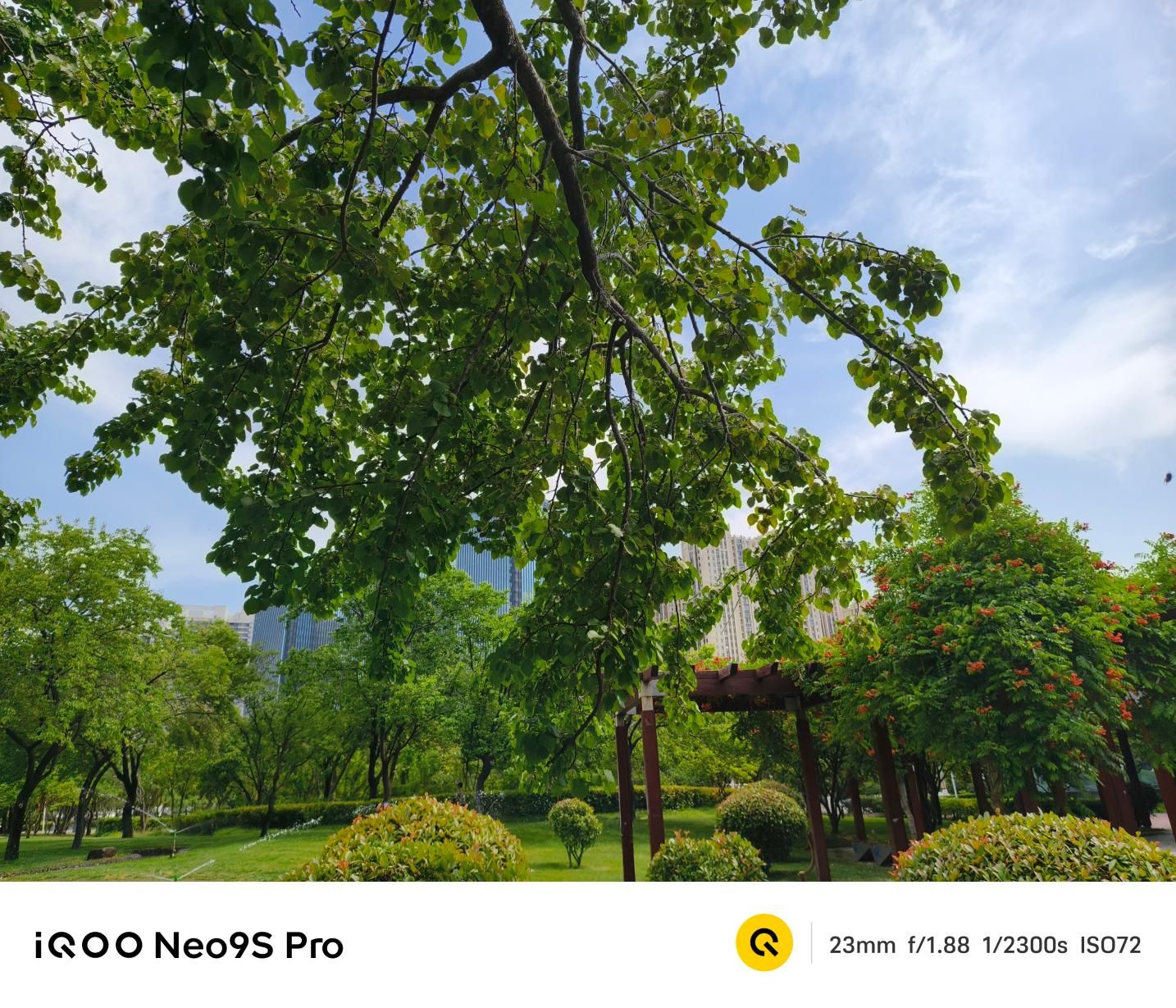 质变量增，IQOO Neo9S Pro评测