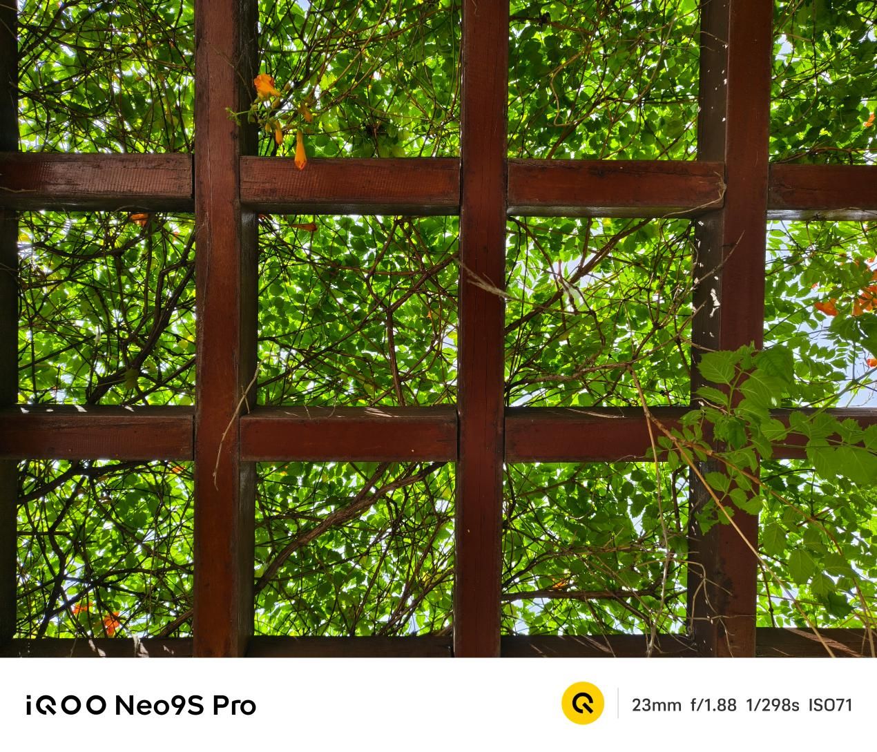 质变量增，IQOO Neo9S Pro评测