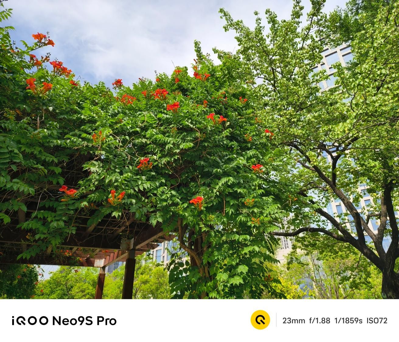 质变量增，IQOO Neo9S Pro评测