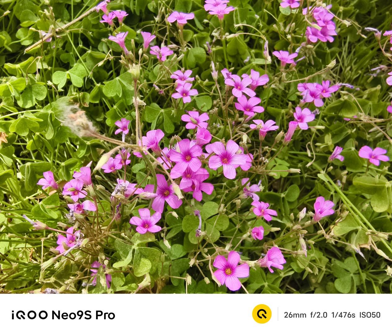 质变量增，IQOO Neo9S Pro评测