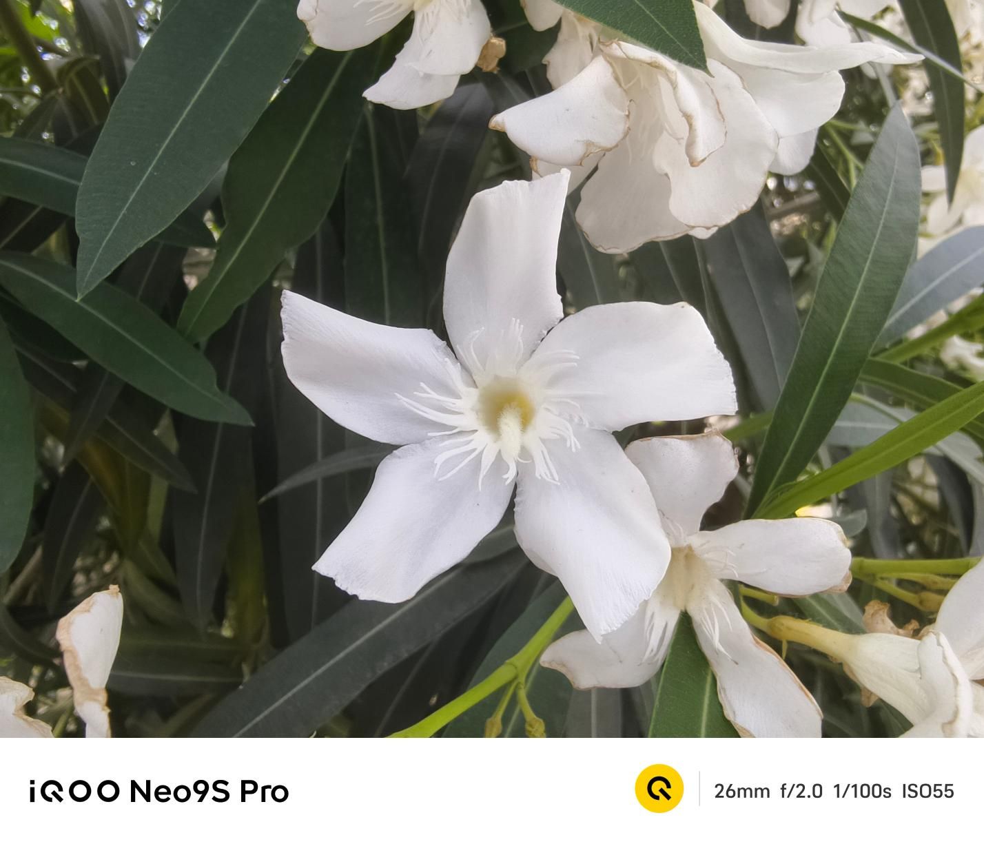 质变量增，IQOO Neo9S Pro评测