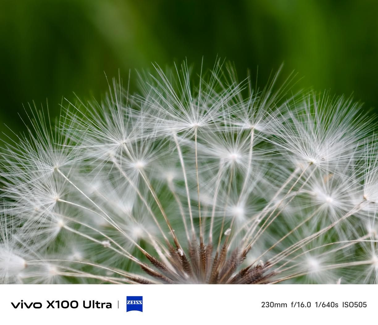 超越视界，体验 vivo X100 Ultra 的极致影像世界