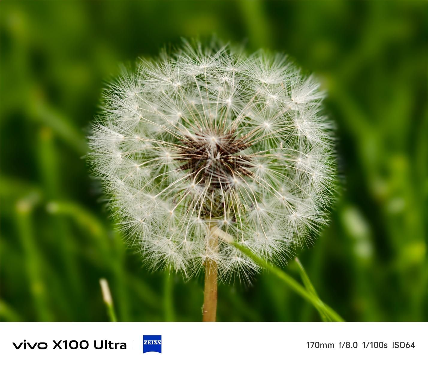 超越视界，体验 vivo X100 Ultra 的极致影像世界