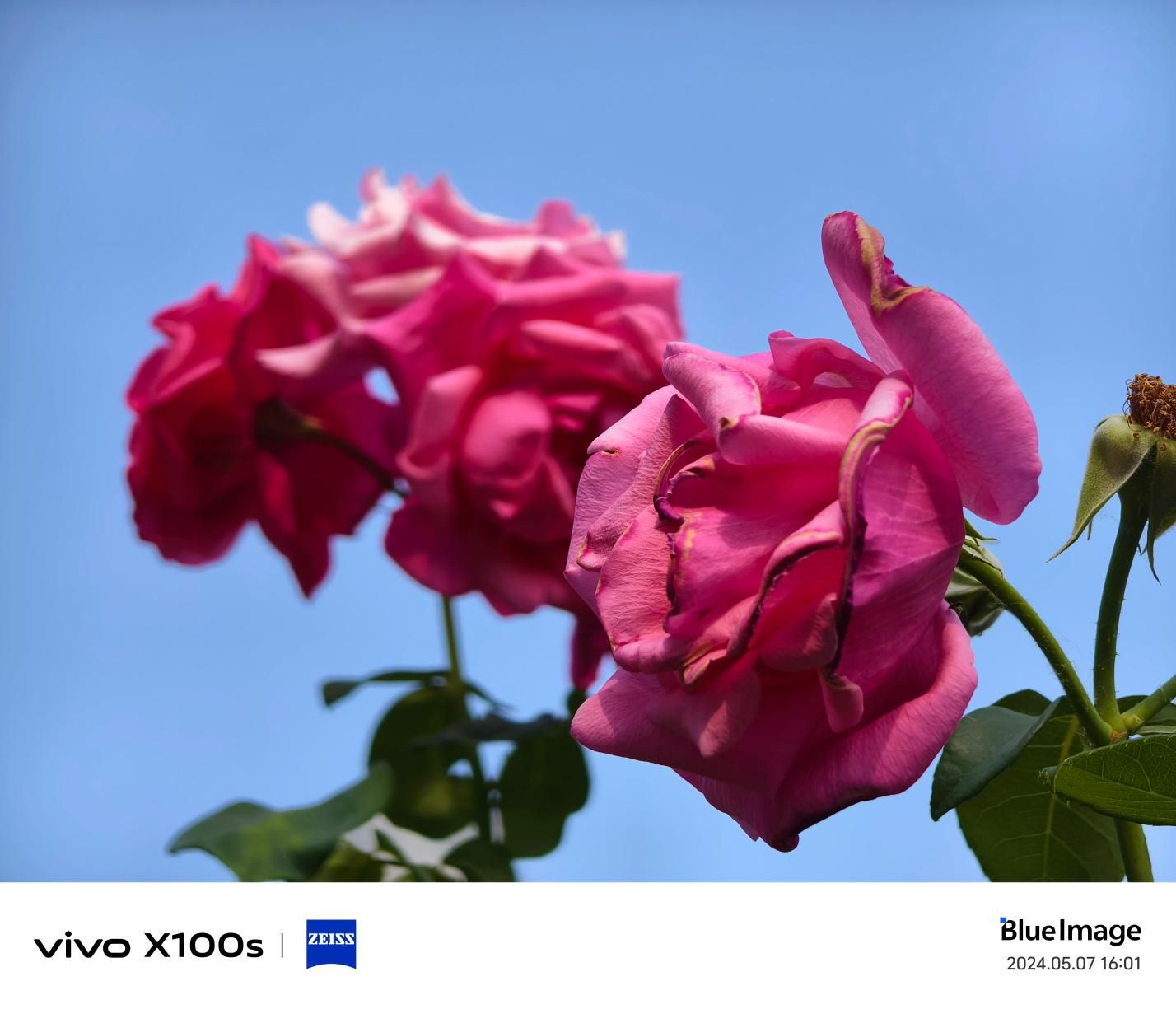 2023年智能手机全能王者，Vivo X100s解析