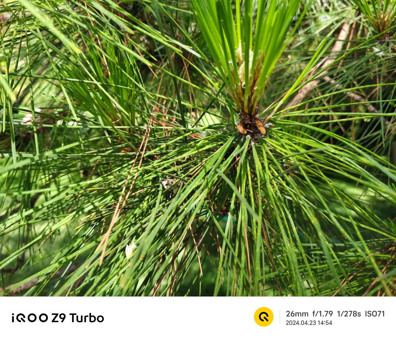 超强续航，6000mAh超级电池的IQOO Z9 Turbo解析