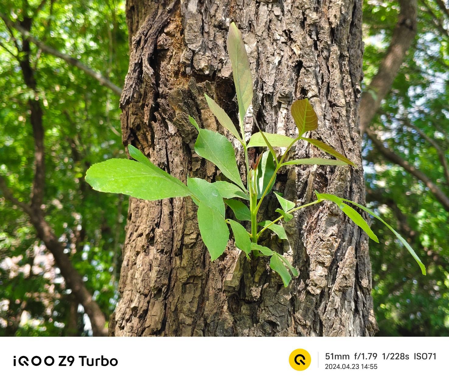 超强续航，6000mAh超级电池的IQOO Z9 Turbo解析