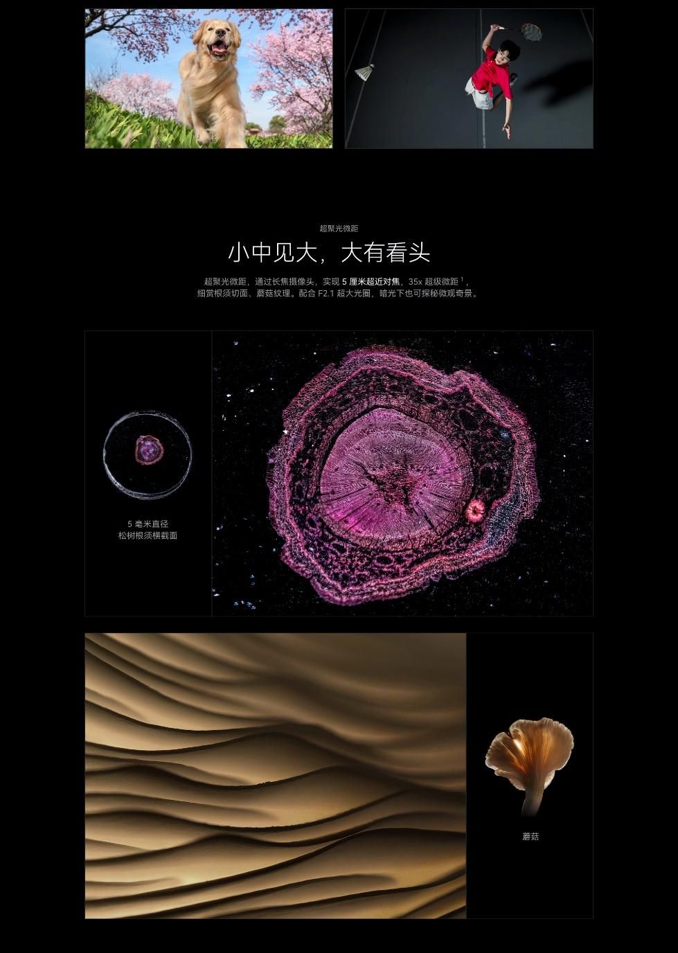 华为Pura 70 Pro/Pro+上架官网，更智能的手机主摄和北斗卫星导航系统