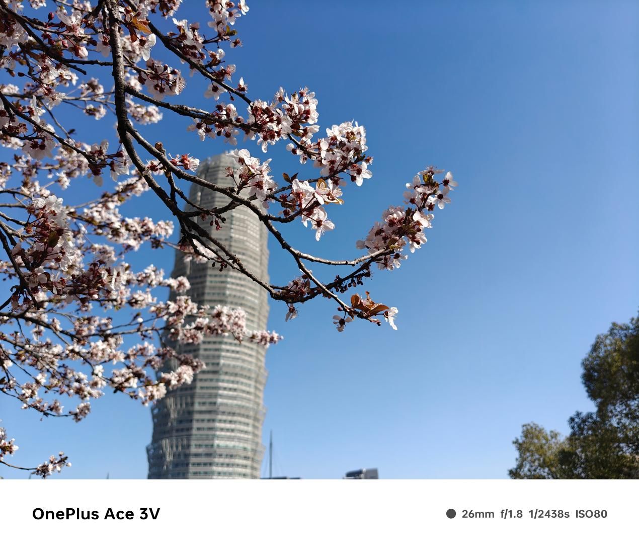 1999年手机，一加Ace 3V的评测和性价比分析